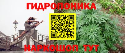 гидра Вышний Волочёк